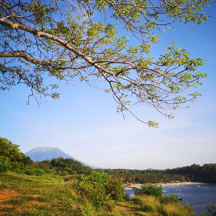 Nature's Whisper: Carrying Tranquility with You Every Day